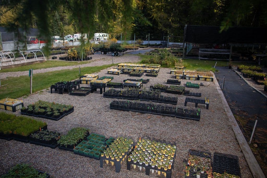 Trays and pots in a plant nursery